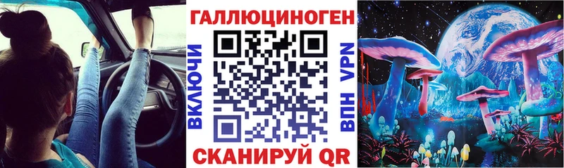 маркетплейс как зайти  Котовск  Псилоцибиновые грибы мицелий  сколько стоит 